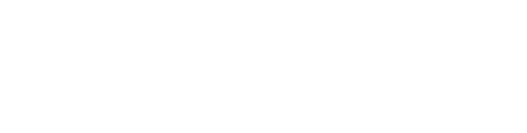 Mobile Battery